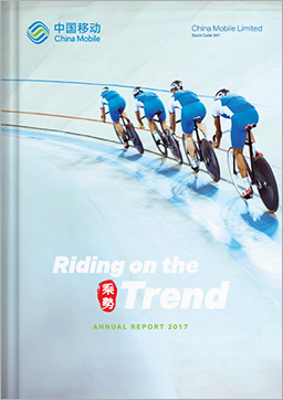 Annual Report 2017