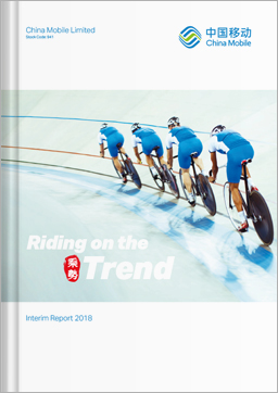 Interim Report 2018