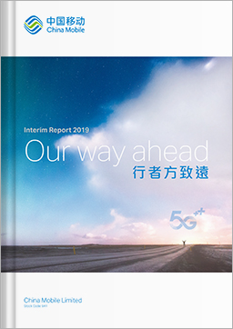 Interim Report 2019