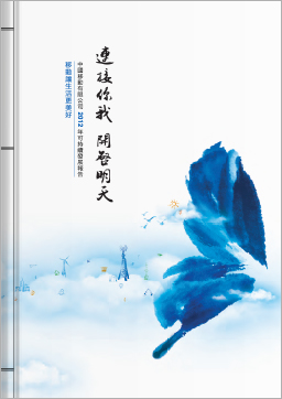 可持续发展报告 2012